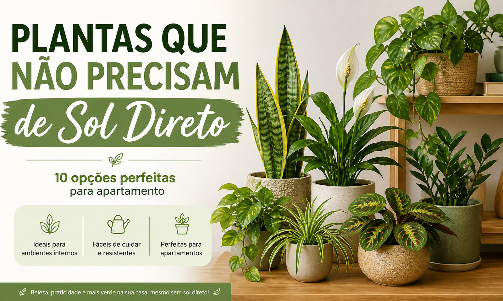 plantas que não precisam de sol direto em apartamento