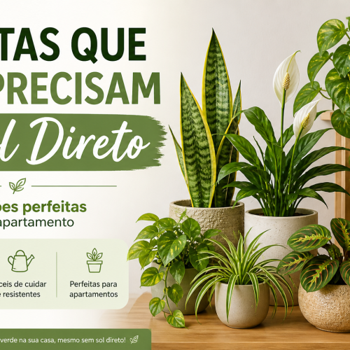 plantas que não precisam de sol direto em apartamento